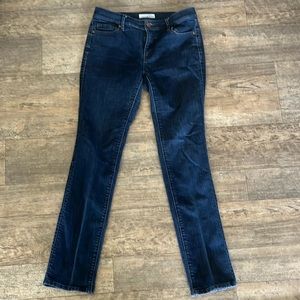 Ann Taylor LOFT Jeans